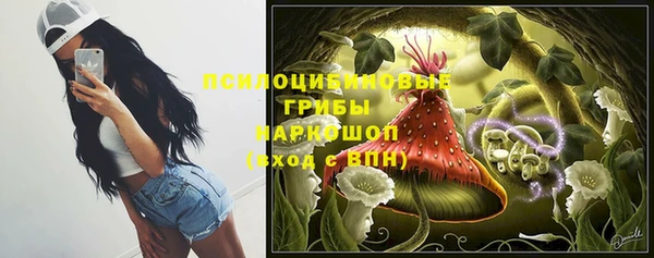 дмт Алексеевка