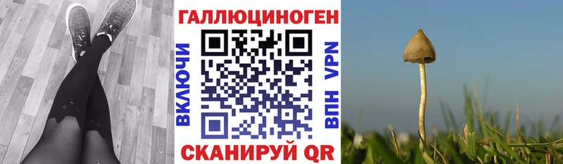 купить площадка наркотические препараты Псилоцибиновые грибы Psilocybine cubensis Ишим